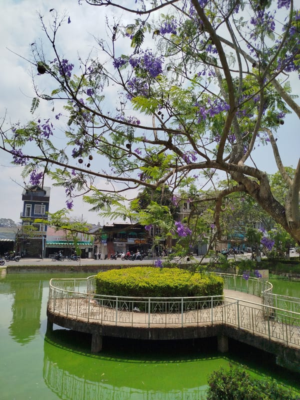 Early morning scenes captured around Xuan Huong Lake, Da Lat