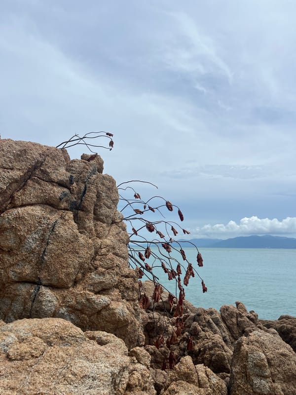 Rocky shoreline at Choeng Mon, Koh Samui