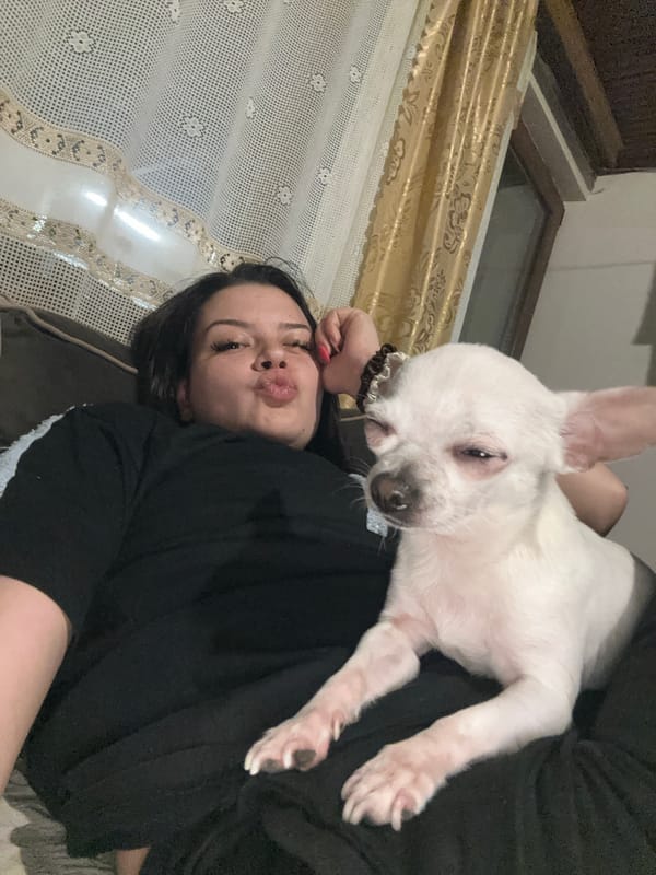 Woman shares quiet moments with Chihuahua in Bulgarian home