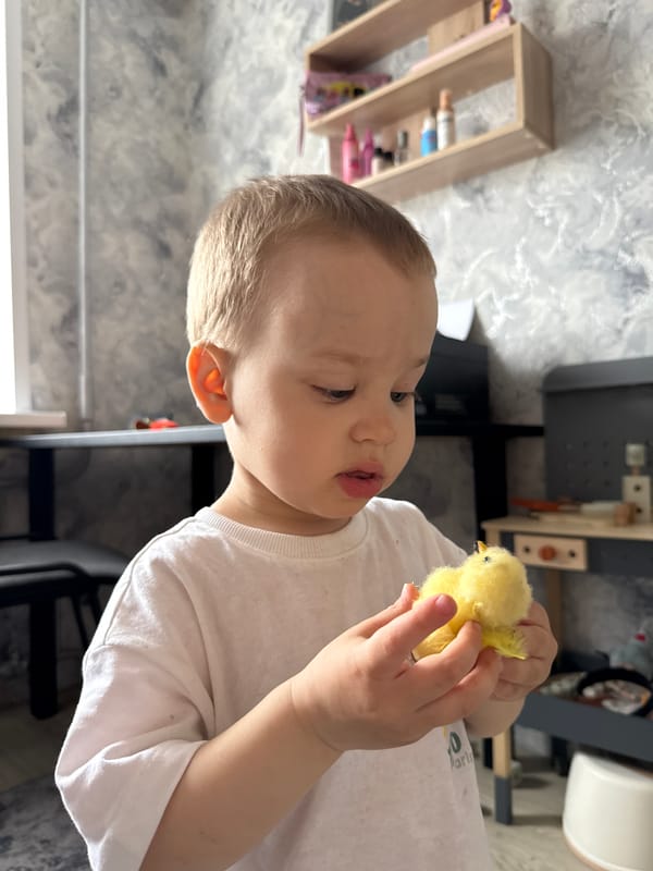 Children observed in various indoor and outdoor settings