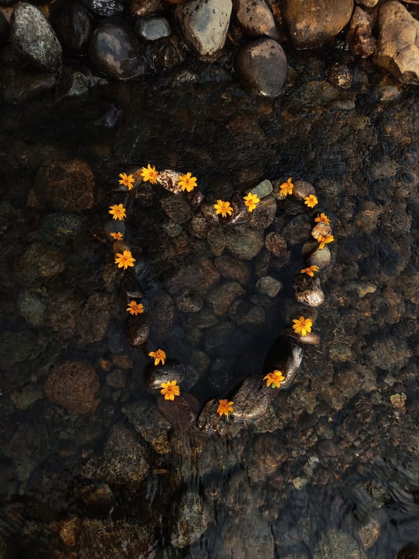 Heart-shaped flower arrangement created in Ecuador stream documented by witness