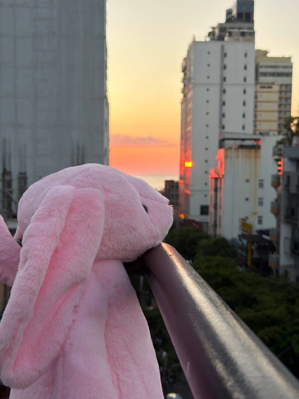 Pink bunny toy tours Đà Nẵng at golden hour