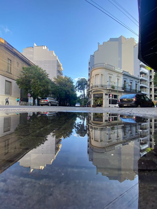 Street reflection creates symmetrical mirror scene in Buenos Aires