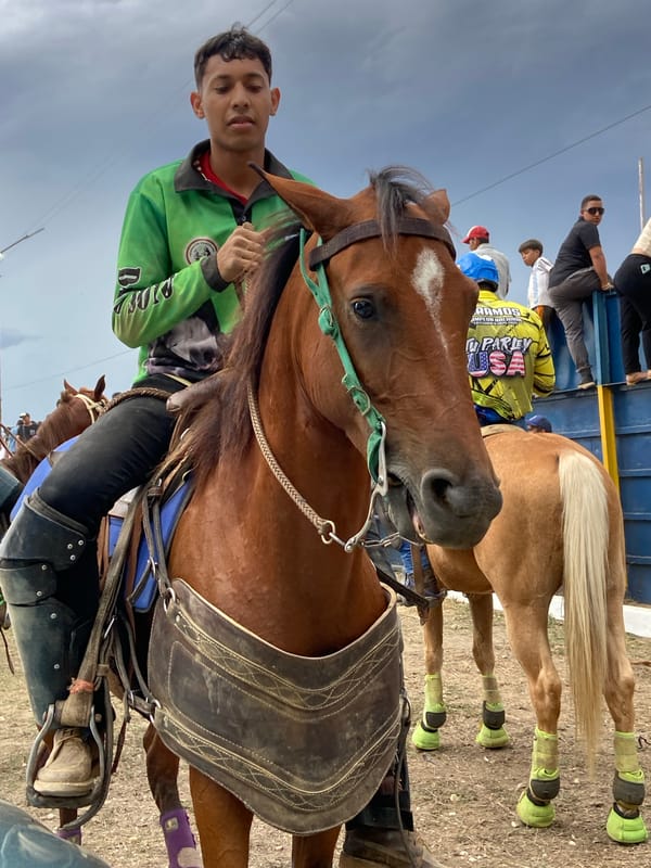 Equestrian event preparations documented in Tinaquillo, Venezuela