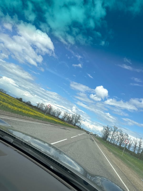 Spring blooms color Russian countryside near Troitskaya