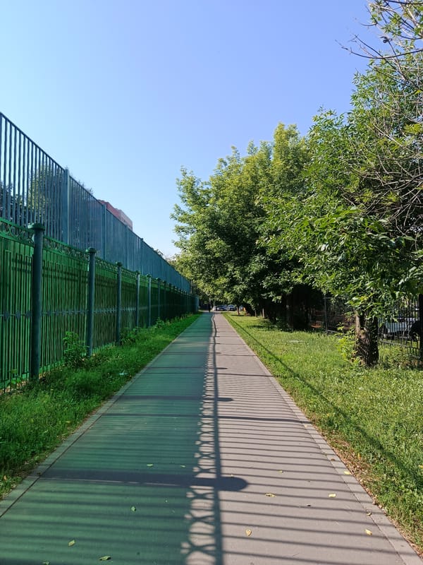 Morning maintenance and graffiti in Moscow park area