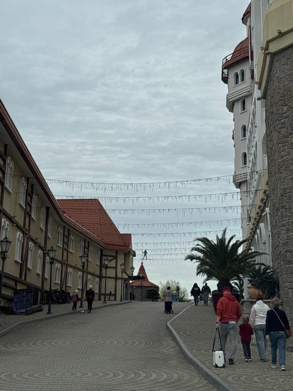 Traditional European architecture documented in Sirius, Russia