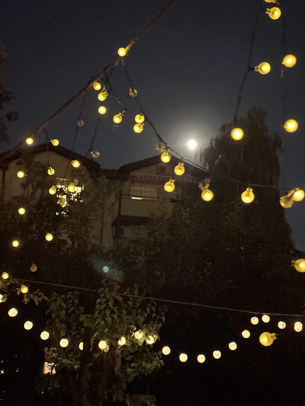Warm summer night in a Belgrade backyard, globe lights overhead