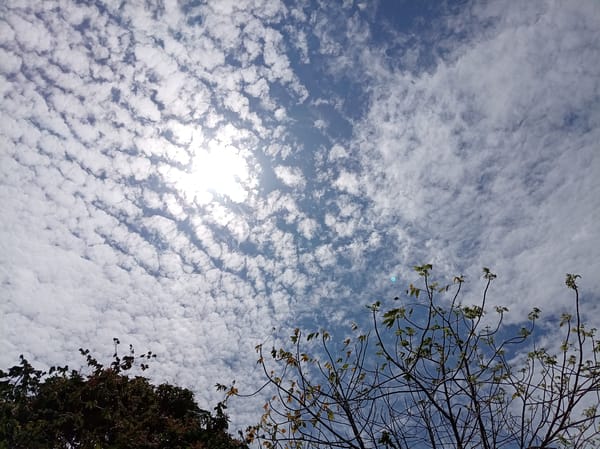 Afternoon life documented in Altagracia, Venezuela residential area