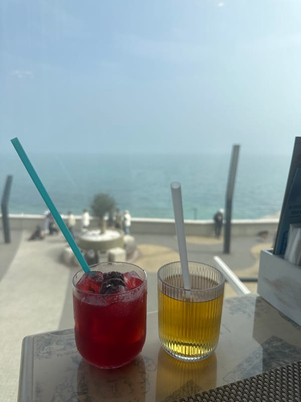Restaurant meal with sea views in Novorossiysk, Russia