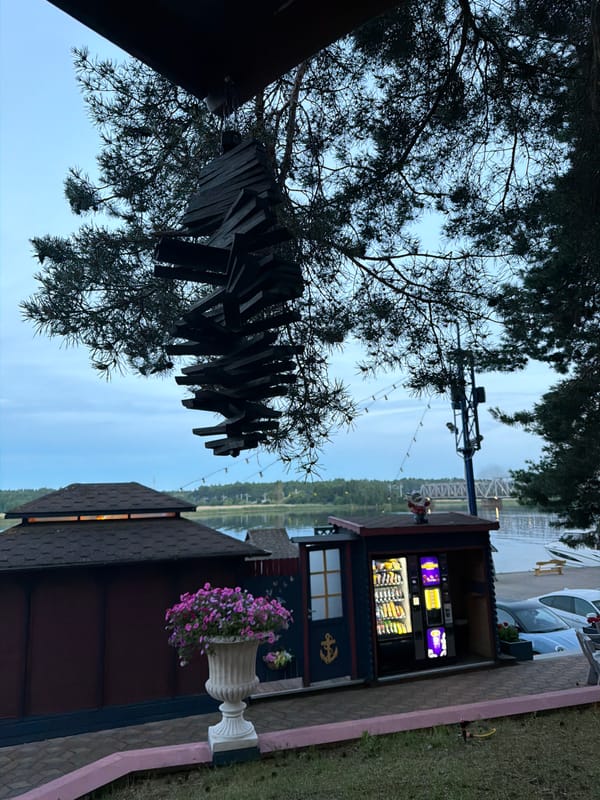 Summer backyard hangout in Jūrmala: grills, games, and dogs