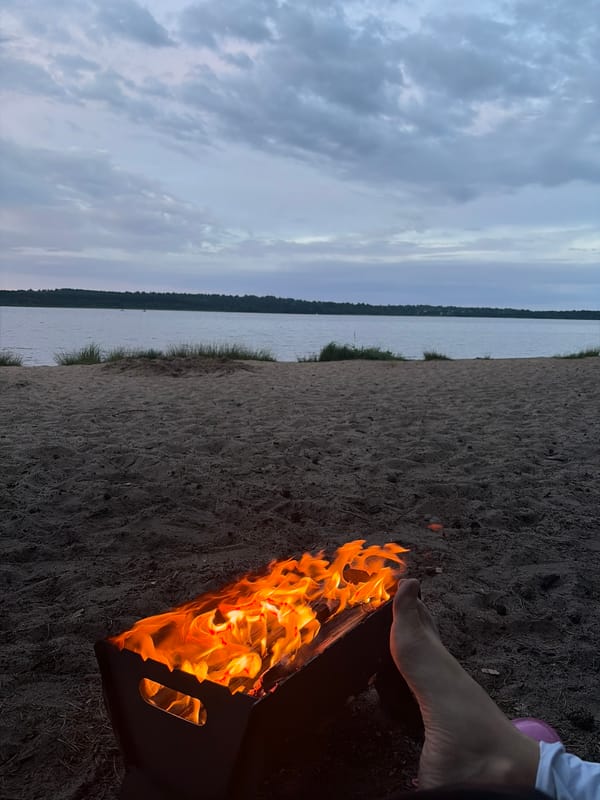 Beach fire at dusk on a Russian lakeshore