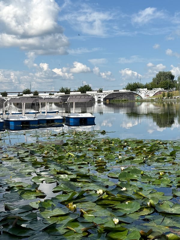 Café and lily-covered reservoir on a Votkinsk summer morning