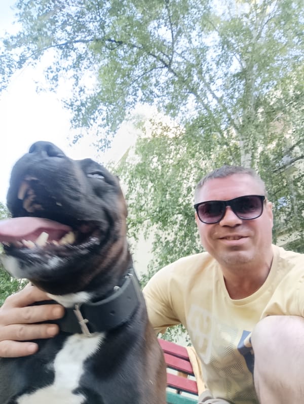 Afternoon dog walk through Ladyzhyn's sunny residential streets