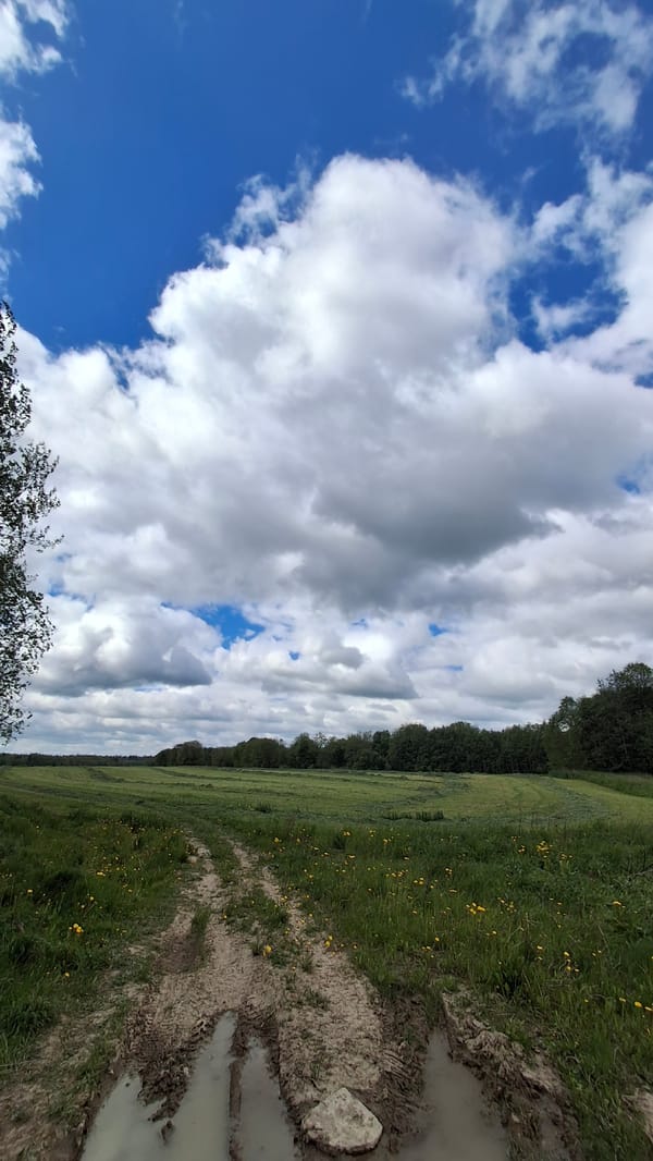 Spring landscapes documented across rural Gatchina region, Russia