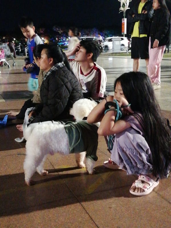 Coordinated dance group performs at Da Lat's lit public plaza