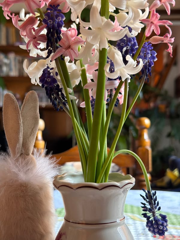 Spring morning garden scenes documented in Velingrad, Bulgaria