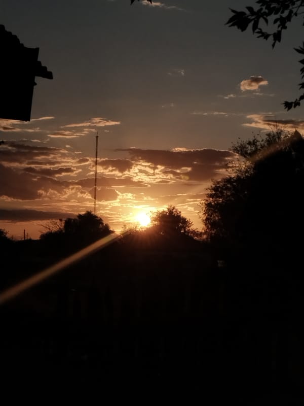 Radio tower and trees cut against an orange Ақадыр sunset