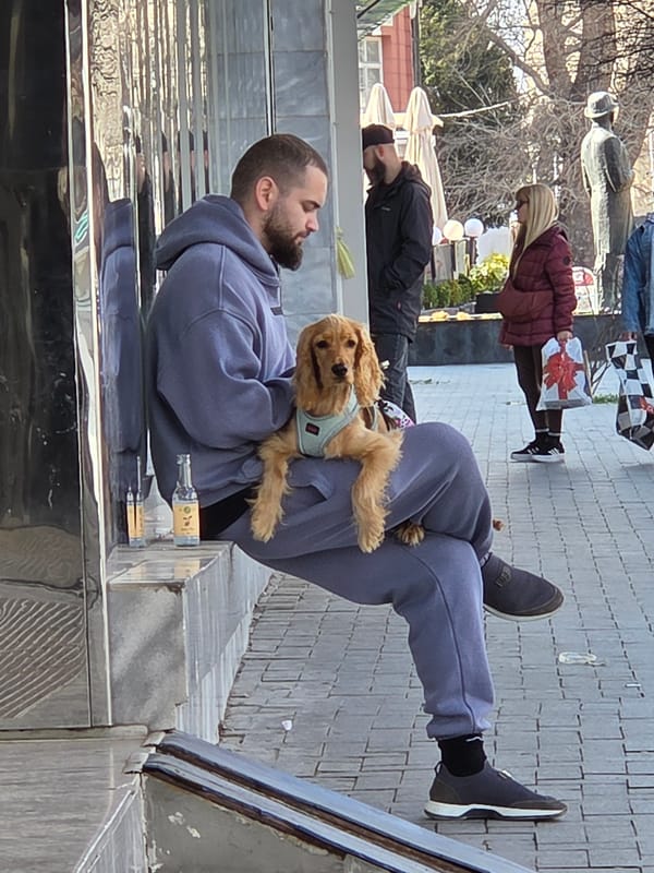 Daily life moments captured across Varna, Bulgaria