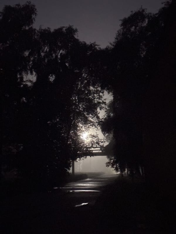 Misty nighttime scenes captured on wet Homyel pathway