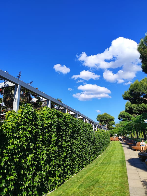 Sunny afternoon scenes documented across Galitsky Park, Krasnodar