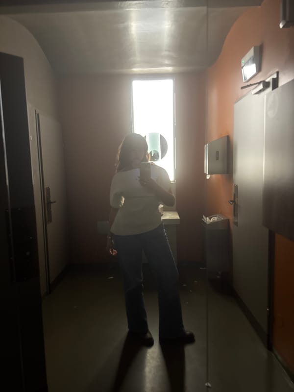 Person observed in Vienna train restroom