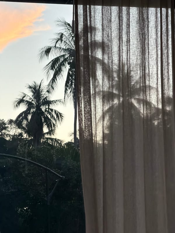Palm tree shadows cast on window blinds in Thailand