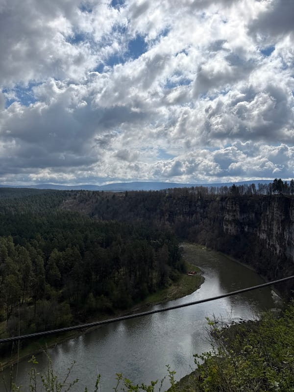River valley documented from elevated bridge viewpoint