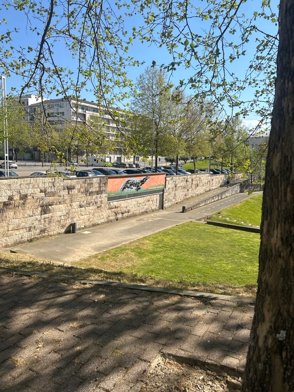 Spring afternoon park scenes documented in Vila Real, Portugal