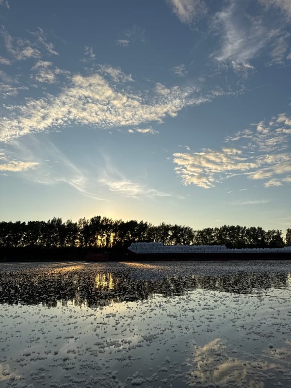 Golden hour riverside moments documented in Chaikovsky, Russia