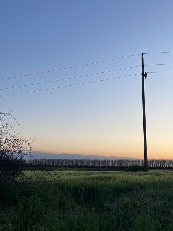 Evening scenes documented across rural Indjija Municipality, Serbia