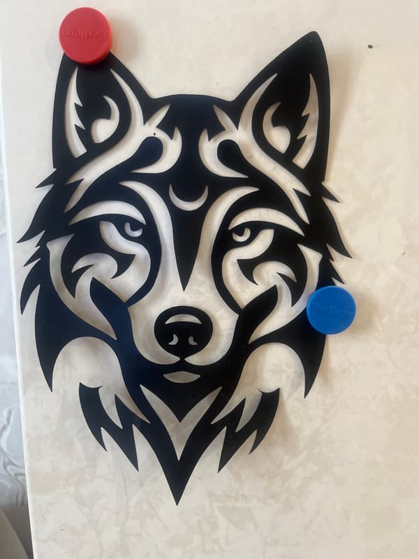 Apartment snapshots: selfies, flowers, and quirky home decor in Tyumen