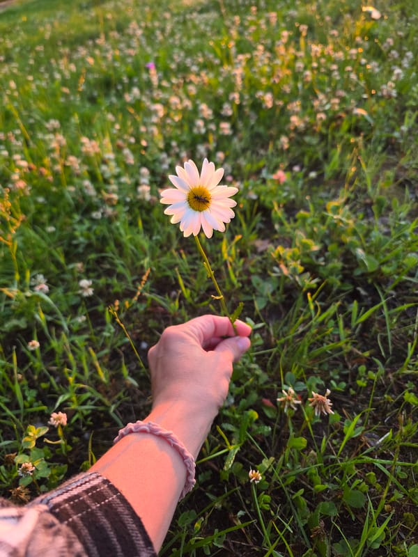 Summer evening in Chaikovsky: flowers, selfies, and riverside sunset