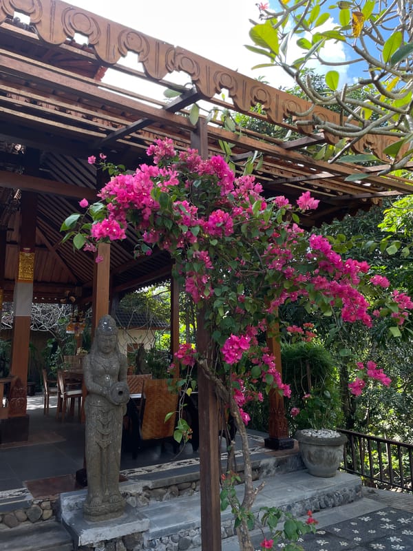 Poolside yoga and Balinese vibes at Little Spoon Cafe, Kediri
