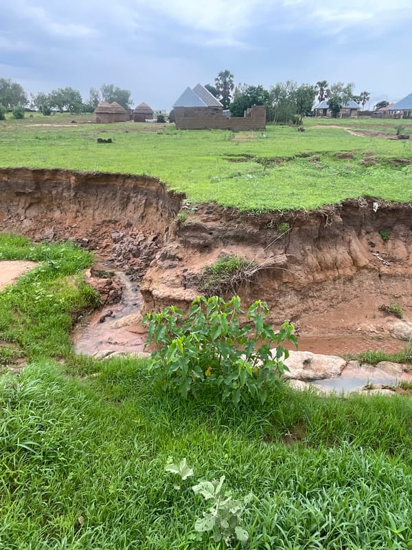 Erosion and construction coexist in rural Jauro Yinu, Nigeria