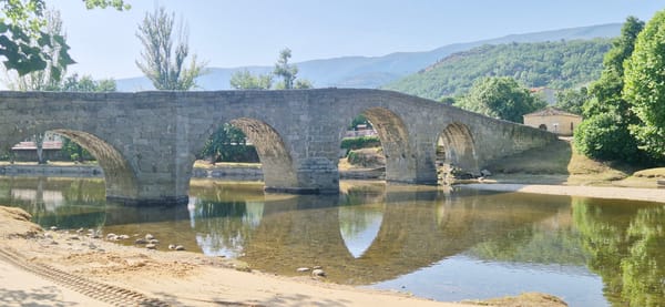 Historic stone bridge, wildflowers, and a dog on a summer morning