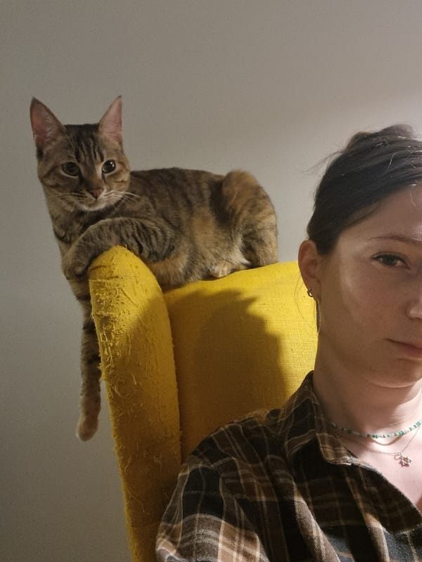 Woman with tabby cat photographed at Ramat Gan residence