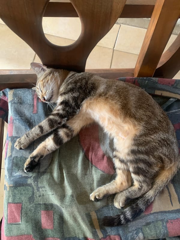 Quiet afternoon moments captured in Venezuelan home