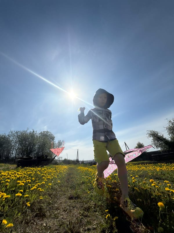 Family enjoys early morning kite-flying in Russian dandelion field