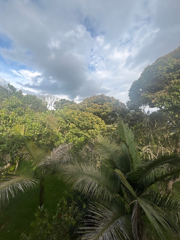 Evening documentation of Guarne Colombia's natural landscape and roadways