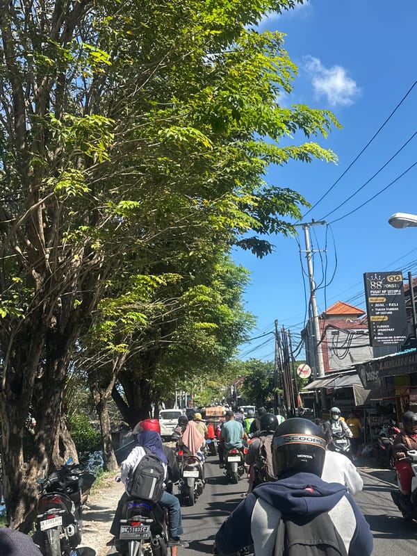 Denpasar morning: blooming trees, busy streets, and open skies