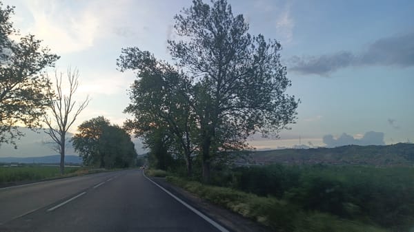 Tree-lined road with fields captured in Aytos, Bulgaria