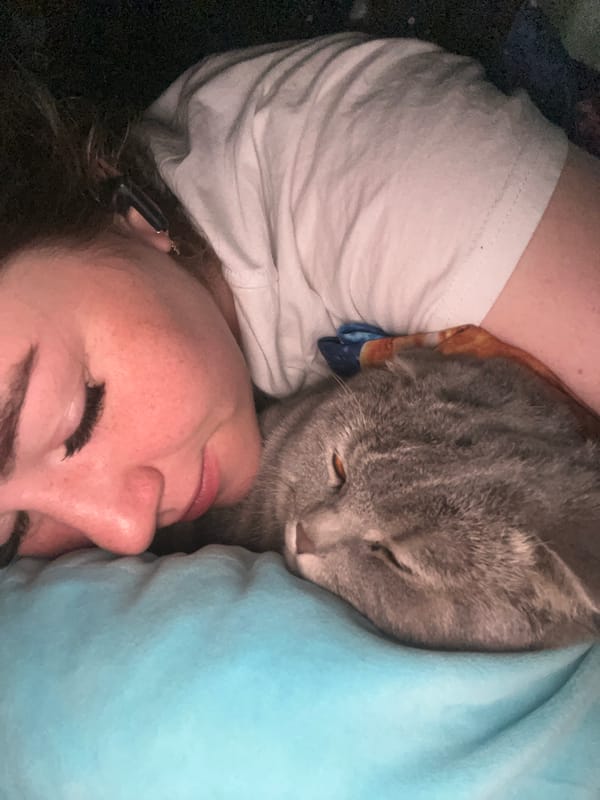 Woman and gray cat share quiet moment in Chaikovsky