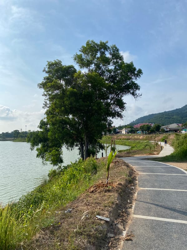 Tranquil roadside waterway scene documented in Choeng Thale, Thailand
