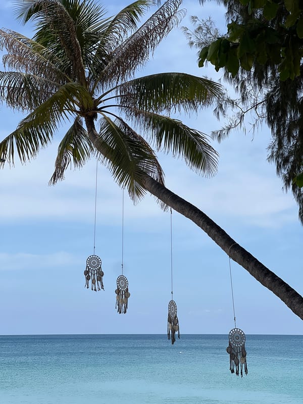 Early morning tropical urban scenes documented by single witness