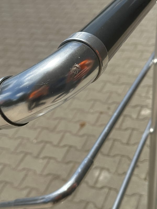 Spiders spotted on metal fixtures in Bulgarian town