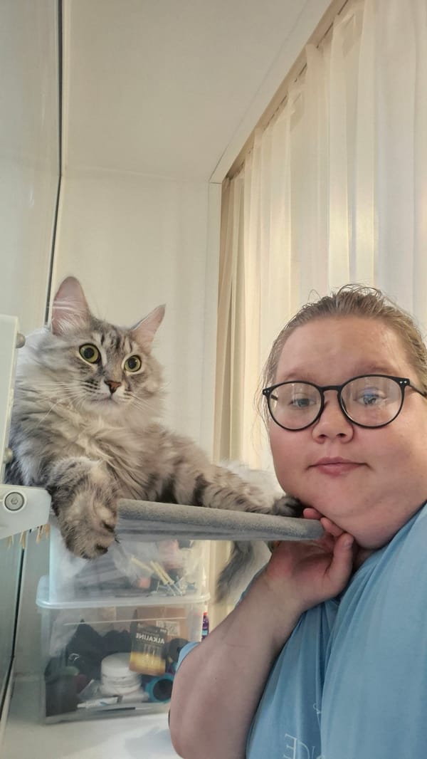 Fluffy green-eyed tabby cat at home in Perm