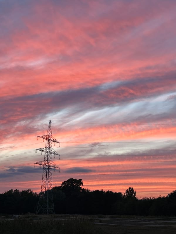 Dog walk at golden hour under a dramatic Frankfurt sky