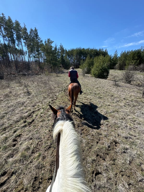 Two riders enjoy horseback outing near Bankya, Bulgaria