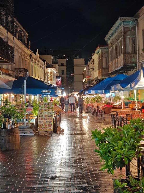 Evening stroll captures illuminated Tbilisi streets after rain